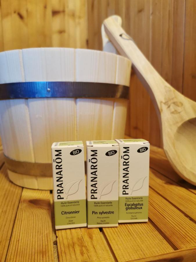 Ecrin Balneo Sauna A Thollon公寓 外观 照片